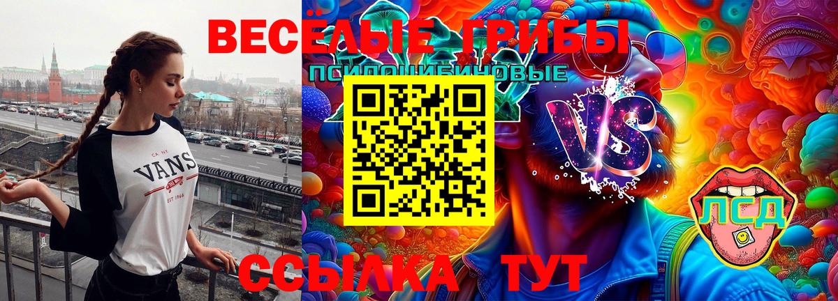 сколько стоит  Вход с VPN  Новочеркасск  Галлюциногенные грибы Magic Shrooms  Галлюциногенные грибы Cubensis 